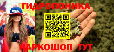 МДПВ Краснознаменск
